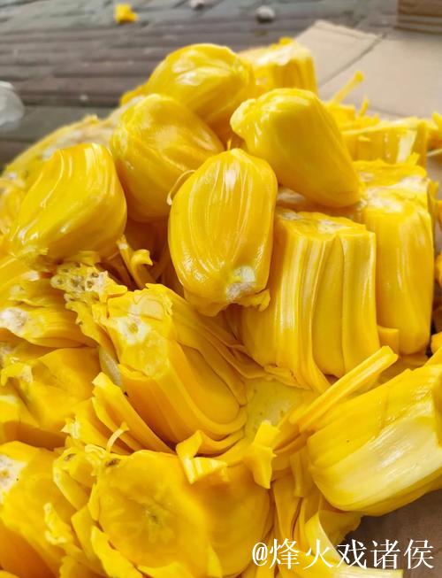 菠萝蜜在线视频3：畅享清新热带风情